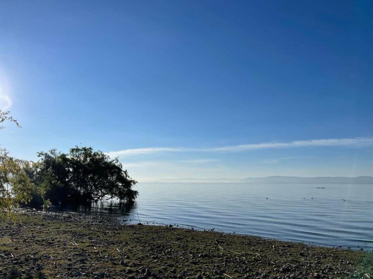 Seuia Departamentos Con Alberca A Pasos Del Lago Ajijic Eksteriør bilde